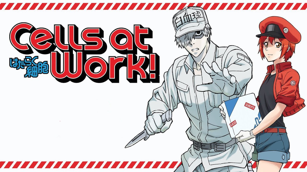 Watch Cells at Work! Full Series Online Free MovieOrca