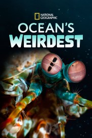 Ocean's Weirdest