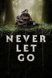 Never Let Go